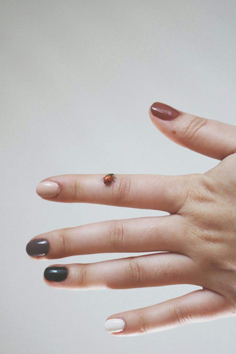 ပန်းလက်ရာ နေ့စွဲလှ Nail Studio 5